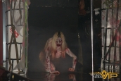 Halloween 2011 / 