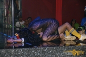 Halloween 2011 / 