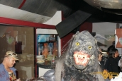 Halloween 2011 / 